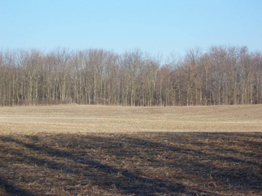 For sale: 80 Acre Complete Farm Unit - Richmond, IN